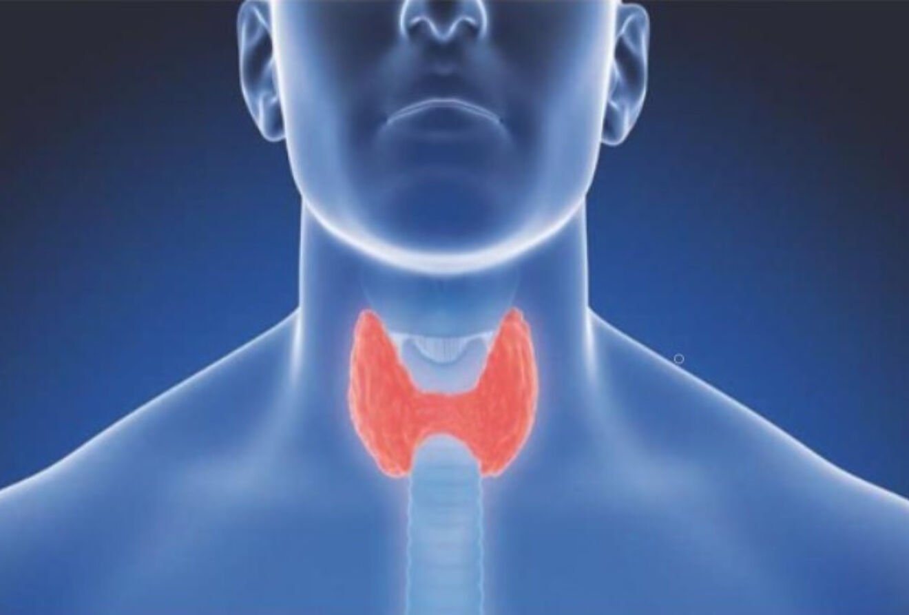 Web Martín Cuesta tiroides